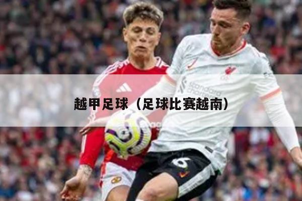 越甲足球（足球比赛越南）