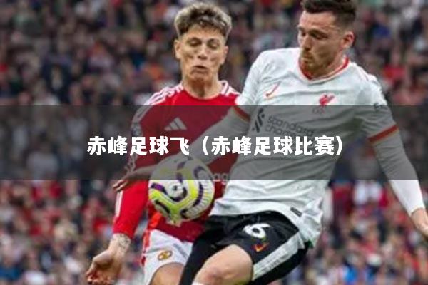 赤峰足球飞（赤峰足球比赛）
