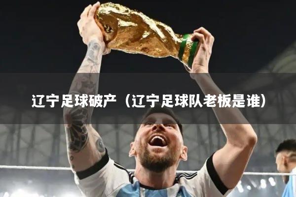 辽宁足球破产（辽宁足球队老板是谁）