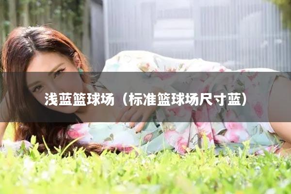 浅蓝篮球场（标准篮球场尺寸蓝）